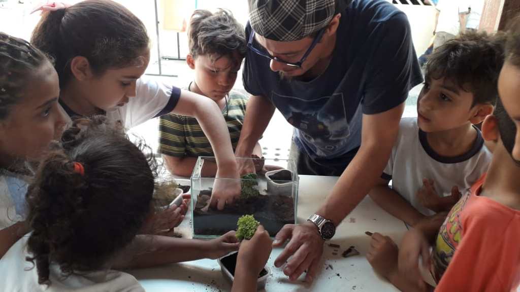 construção de terrário escola pública